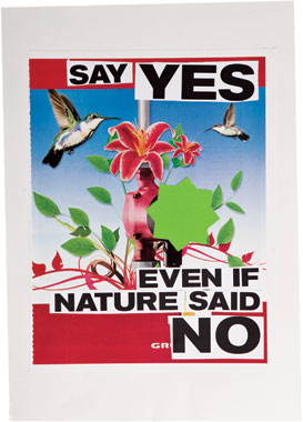 Say Yes